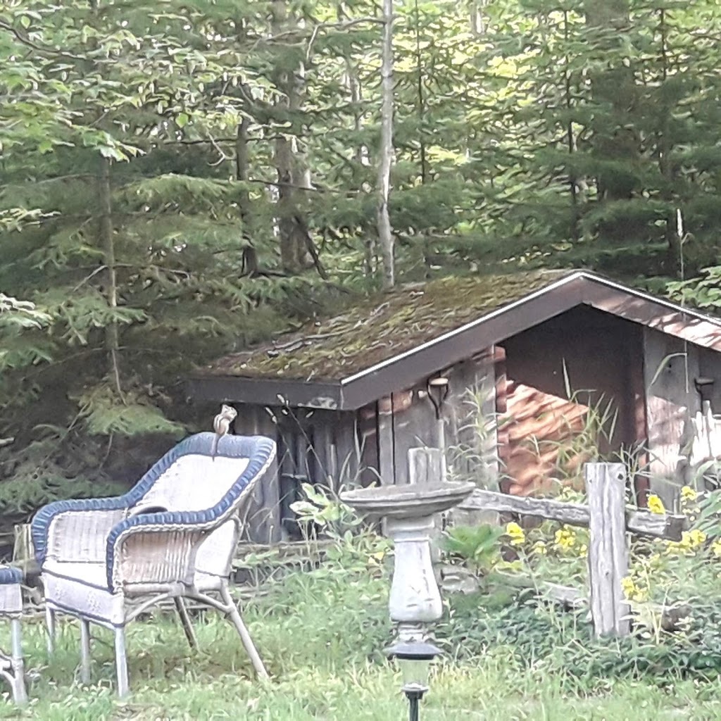 Lofty Heights Bed & Breakfast | 117 McKague Rd, Lions Head, ON N0H 1W0, Canada | Phone: (519) 793-4732