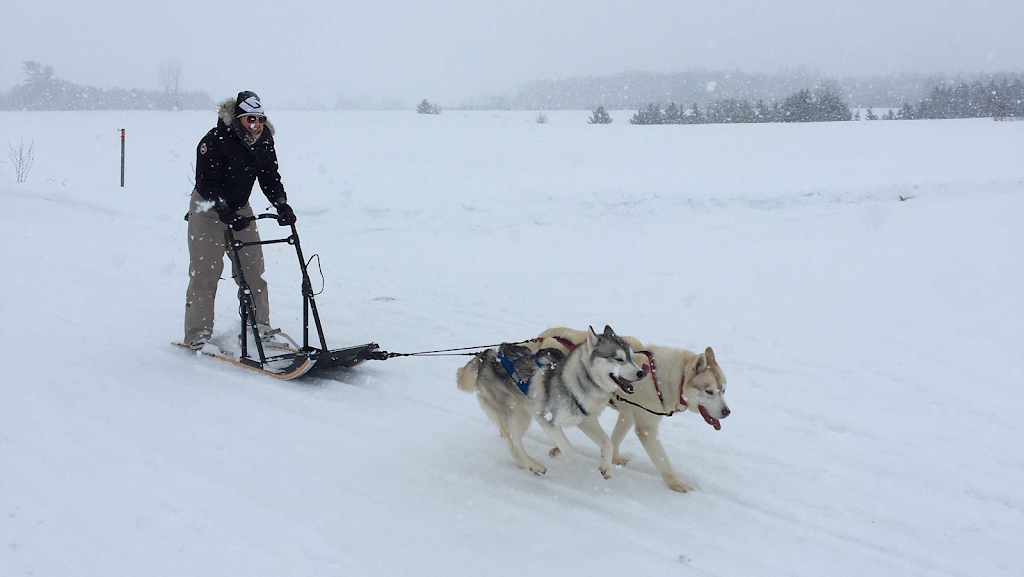 Élevage Flandor - Élevage de chiens -Husky Sibérien | 3251 Rang du Haut de la Rivière, Sainte-Élisabeth, QC J0K 2J0, Canada | Phone: (450) 757-1323