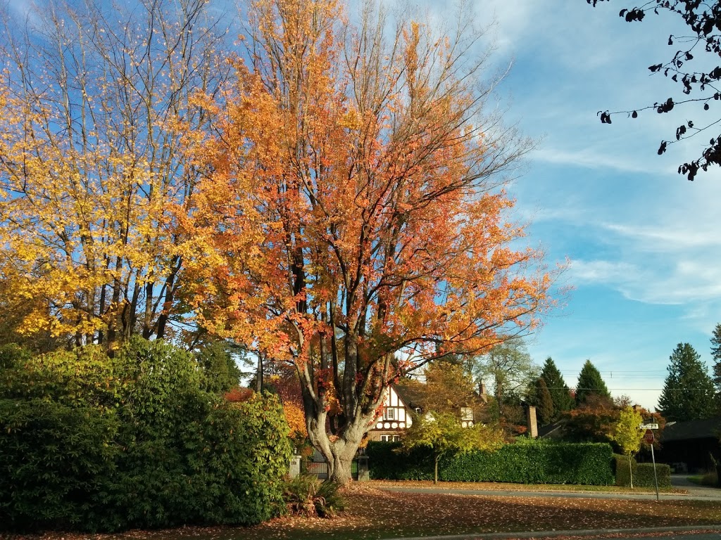 McCleery Park | 6501 Marine Crescent, Vancouver, BC V6P 5X1, Canada | Phone: (604) 873-7000