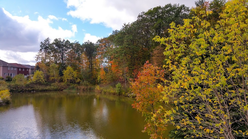 Twickenham Park | Richmond Hill, ON L4C 0E2, Canada | Phone: (905) 771-8870