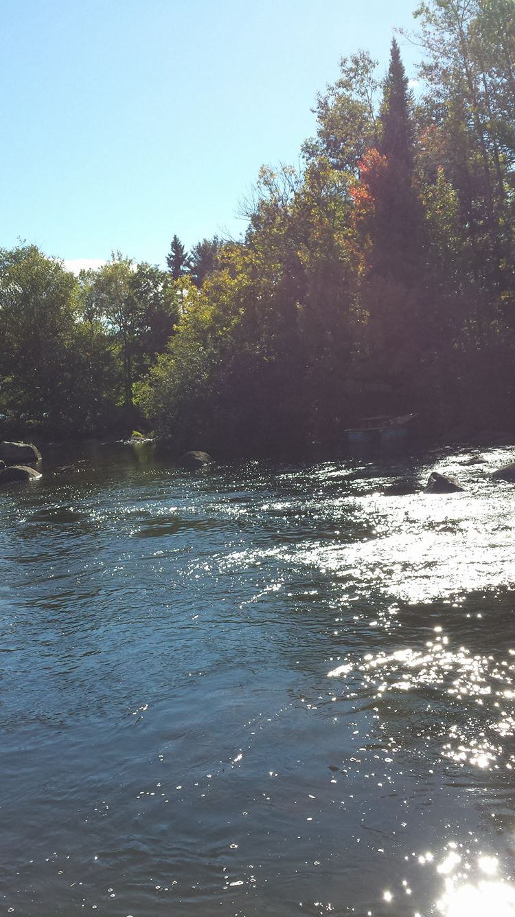 Parc des amoureux | Chemin de la Rivière, Val-David, QC J0T, Canada