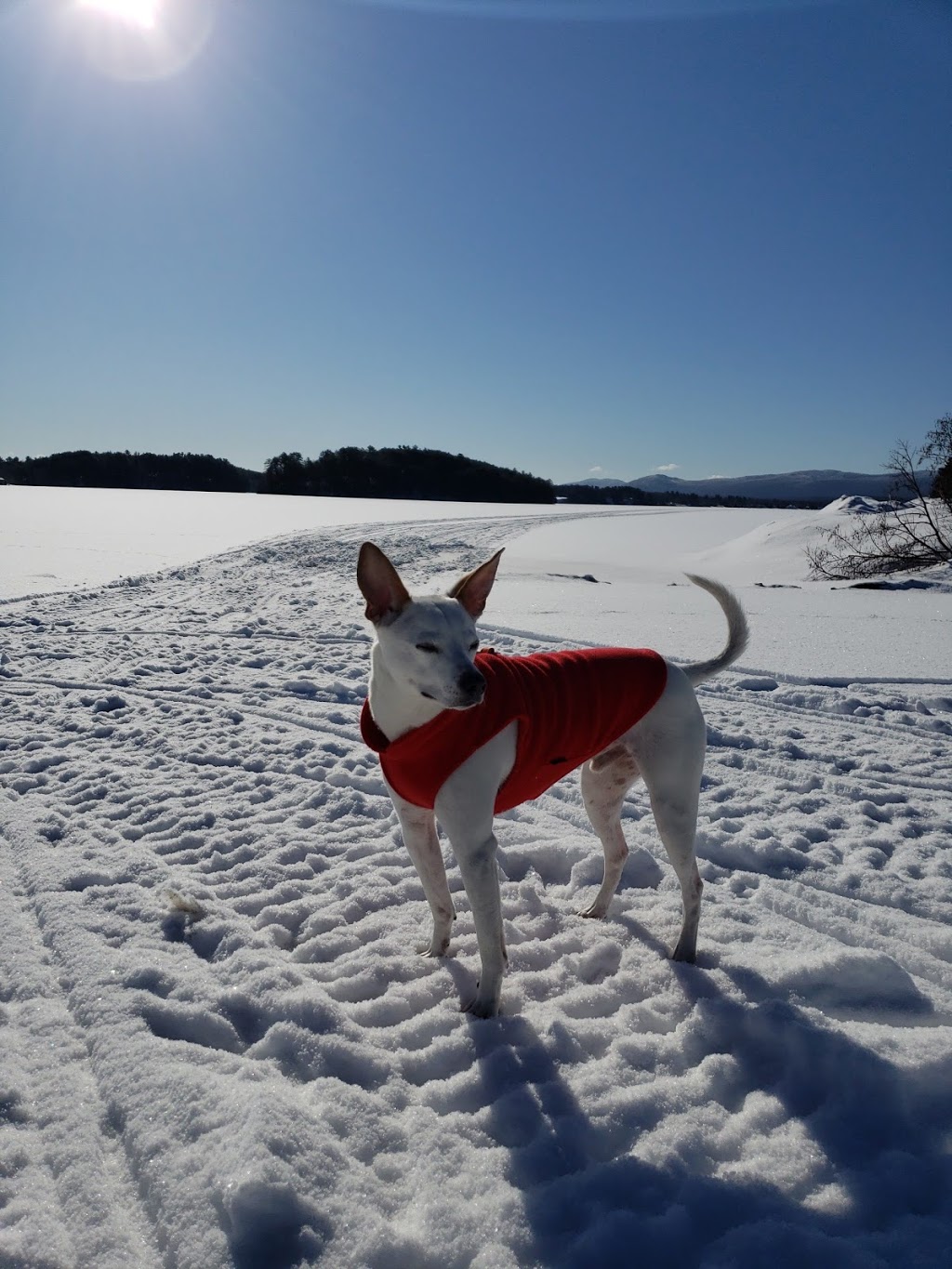 Island Pond Welcome Center | 11 Birch St, Island Pond, VT 05846, USA | Phone: (802) 723-9889