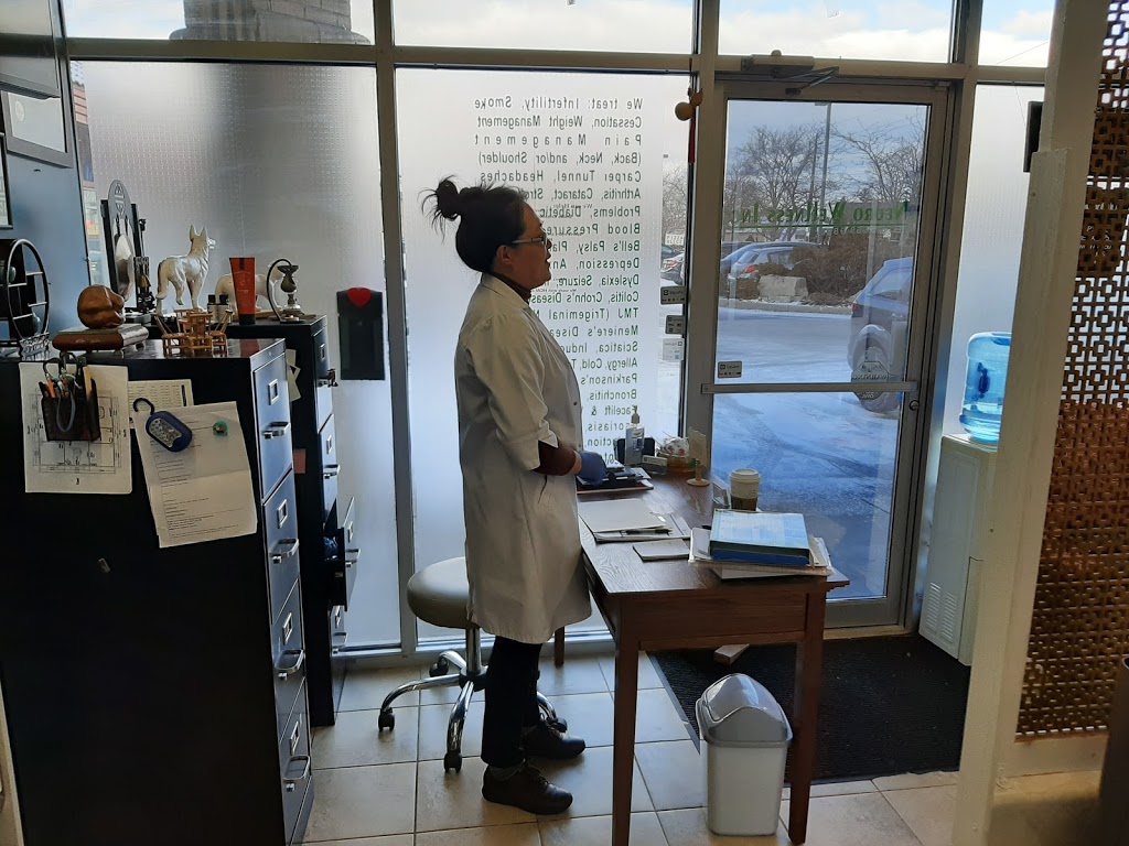 Neuro Wellness Institute | 3395 Howard Ave #2, Windsor, ON N9E 3N6, Canada | Phone: (519) 969-9888