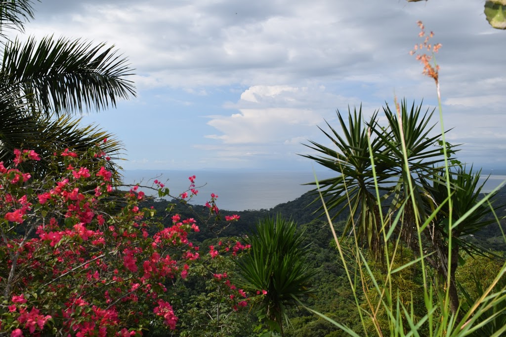 Pura Vida Vacations | 1235 Fairview St #107, Burlington, ON L7S 2K9, Canada | Phone: (289) 812-2112