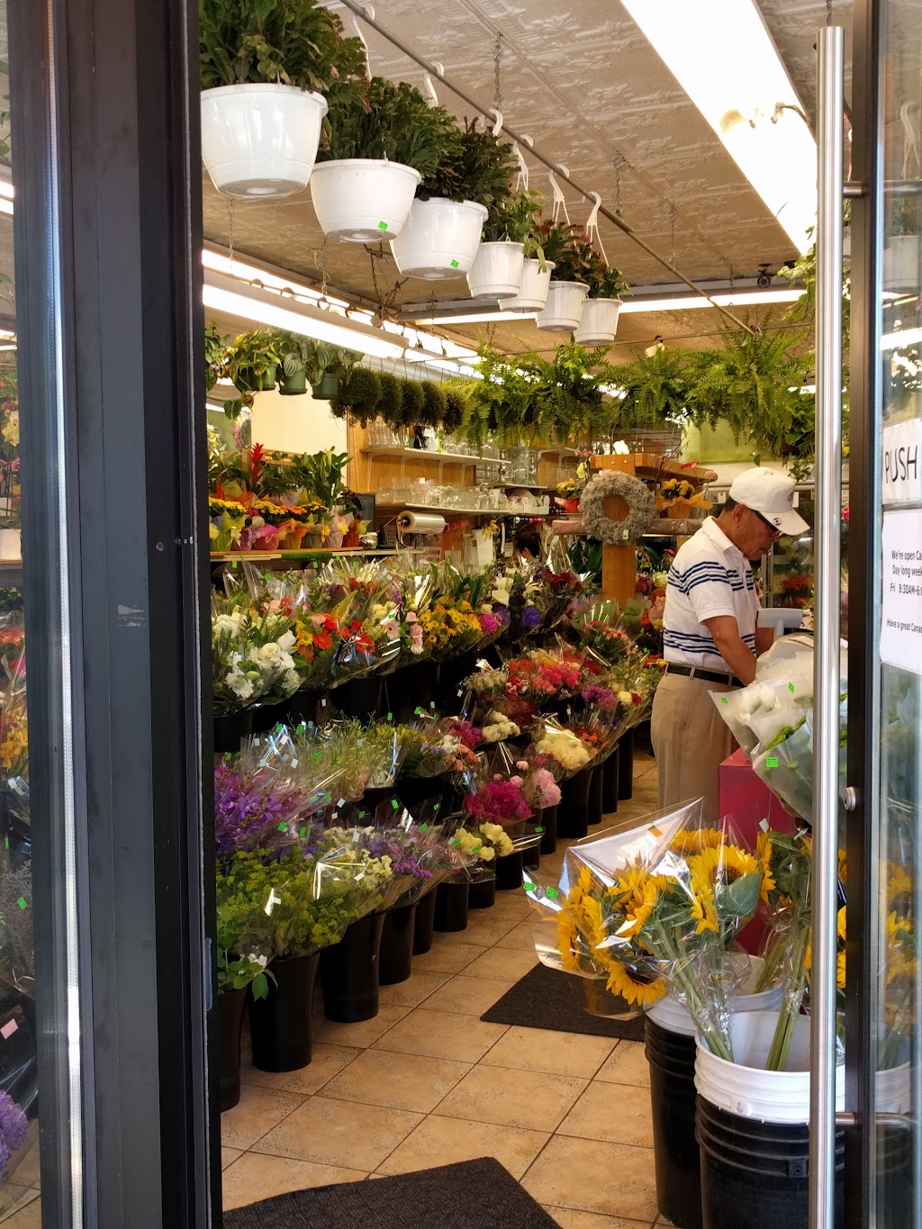 Bloor & Kennedy Flower Shop | 2194 Bloor St W, Toronto, ON M6S 1N4, Canada | Phone: (416) 766-0175