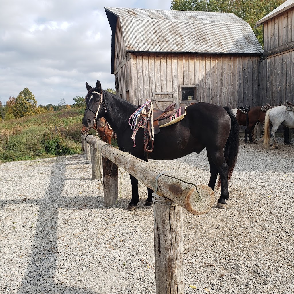 Big Creek Horse Stables - Horseback Riding | 386 Big Creek Rd, Caledonia, ON N3W 2G9, Canada | Phone: (905) 765-5476