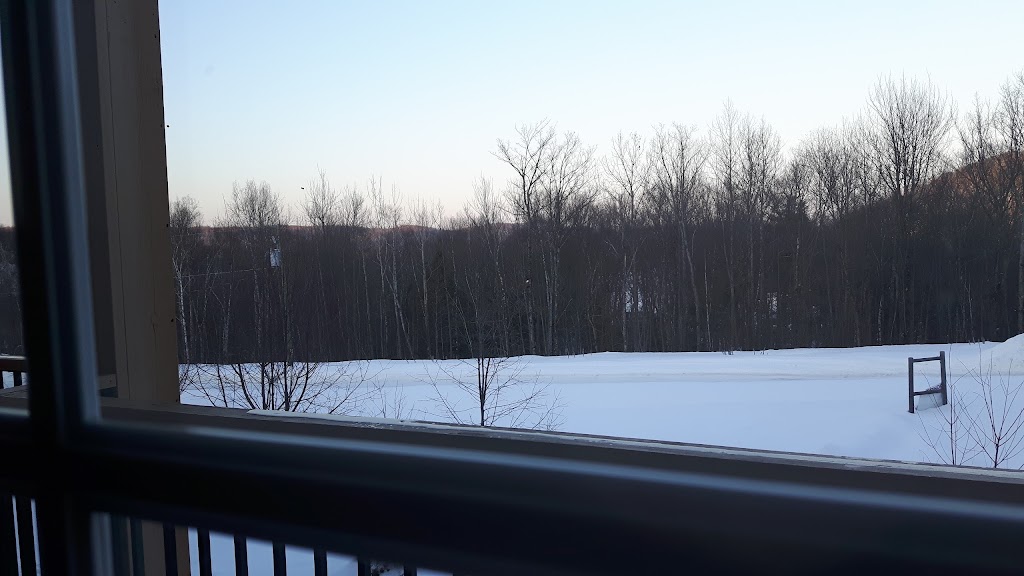 Entretien de Terrain Jacques | 2443 Ch des Hauteurs, Saint-Hippolyte, QC J8A 3C6, Canada | Phone: (450) 563-4585