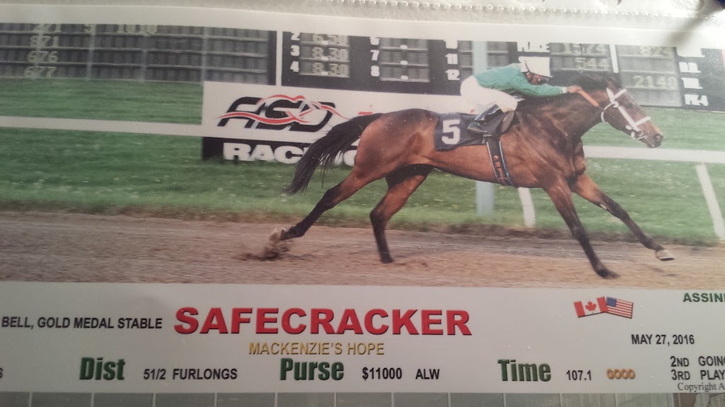 Canadian Thoroughbred Horse Society | 3975 Portage Ave, Winnipeg, MB R3K 2E9, Canada | Phone: (204) 832-1702