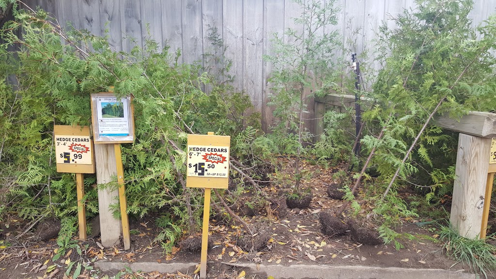 Arbor Garden Centre And Nursery | 6556 Trafalgar Rd, Milton, ON L9E 0Z2, Canada | Phone: (905) 876-1395