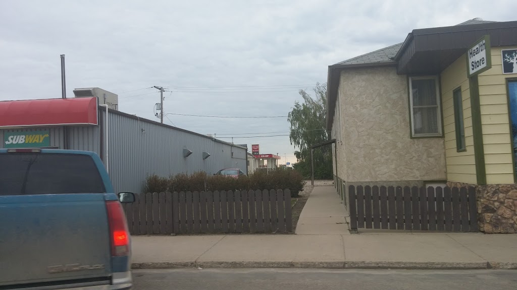 The Little Olive Health Market | 103 Main St, Watrous, SK S0K 4T0, Canada | Phone: (306) 946-3003
