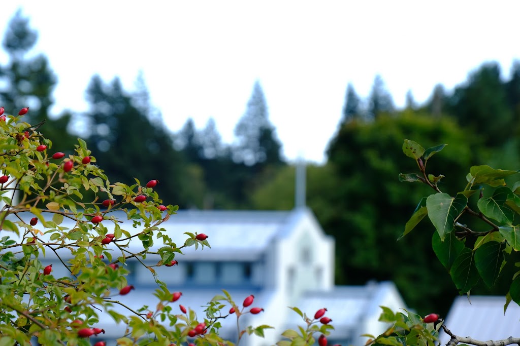 Christ The King Catholic Church | 1599 Tunner Dr, Courtenay, BC V9N 8N3, Canada | Phone: (250) 334-4716