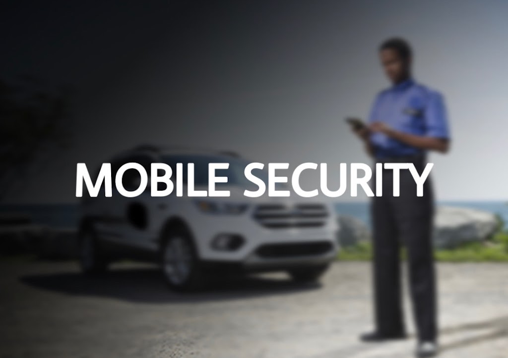 TDOT SECURITY INC. | 386 Grovehill Cres, Kitchener, ON N2R 0L5, Canada | Phone: (267) 518-5595