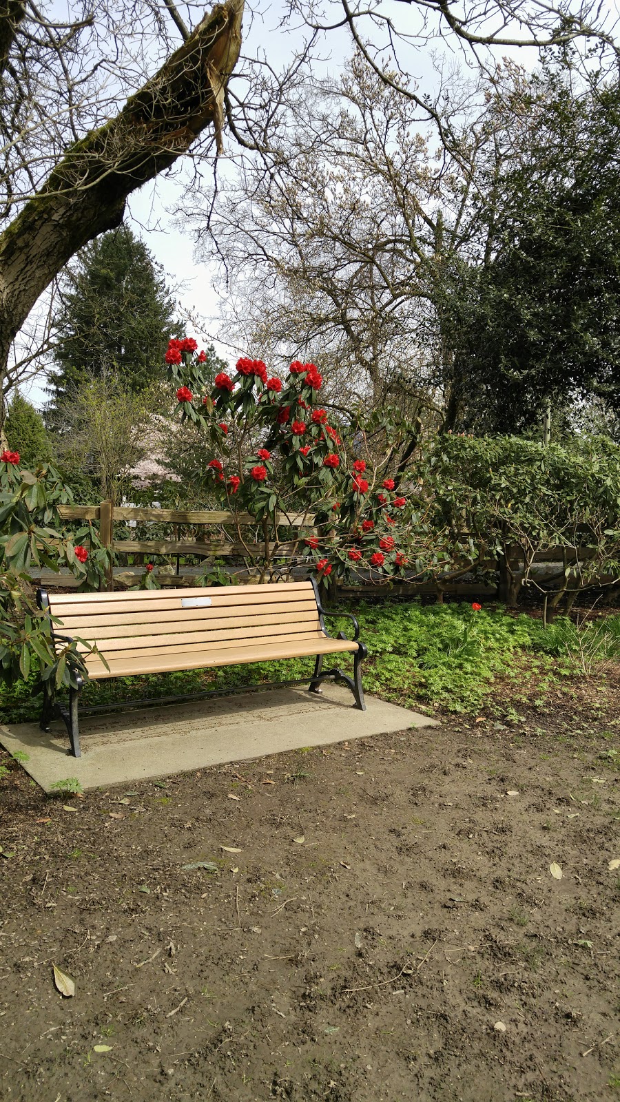 Gwynne Vaughan Park | 46181 Hope River Road, Chilliwack, BC V2P 7V5, Canada