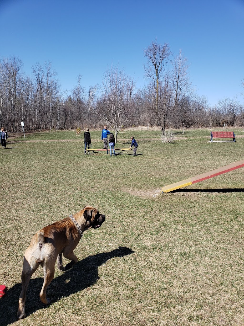 Fergus Dog Park | 840 Glengarry Crescent, Fergus, ON N1M 3W1, Canada