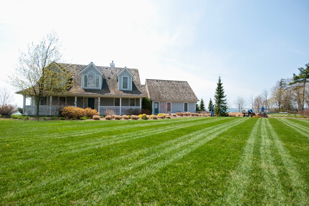 Lake Erie Property Maintenance | 91 Tennessee Ave, Port Colborne, ON L3K 2R9, Canada | Phone: (905) 835-2639