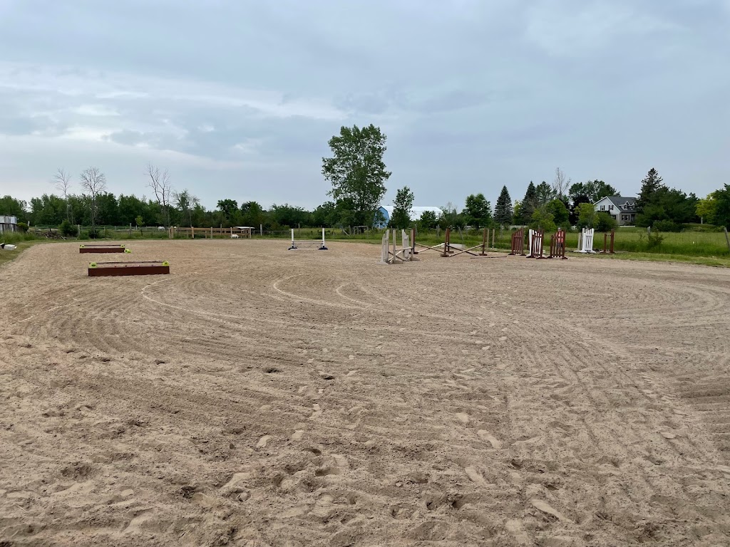 Out of The Blue Stables | 280 Mud Lake Rd N, Odessa, ON K0H 2H0, Canada | Phone: (613) 876-4324