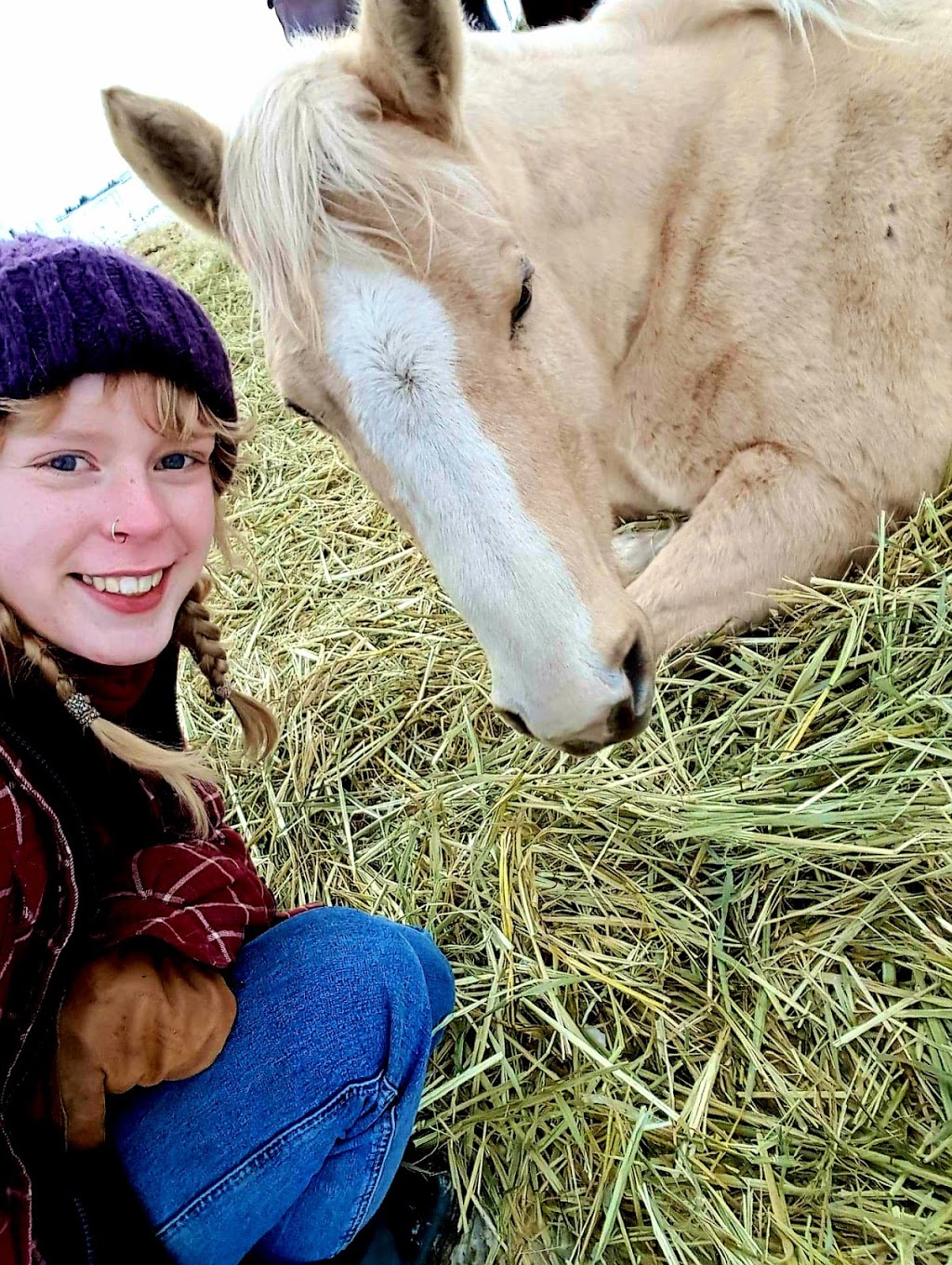 INSIGHT THROUGH HORSES | 41129, Range Rd 263, Lacombe, AB T4L 2N5, Canada | Phone: (403) 304-9852