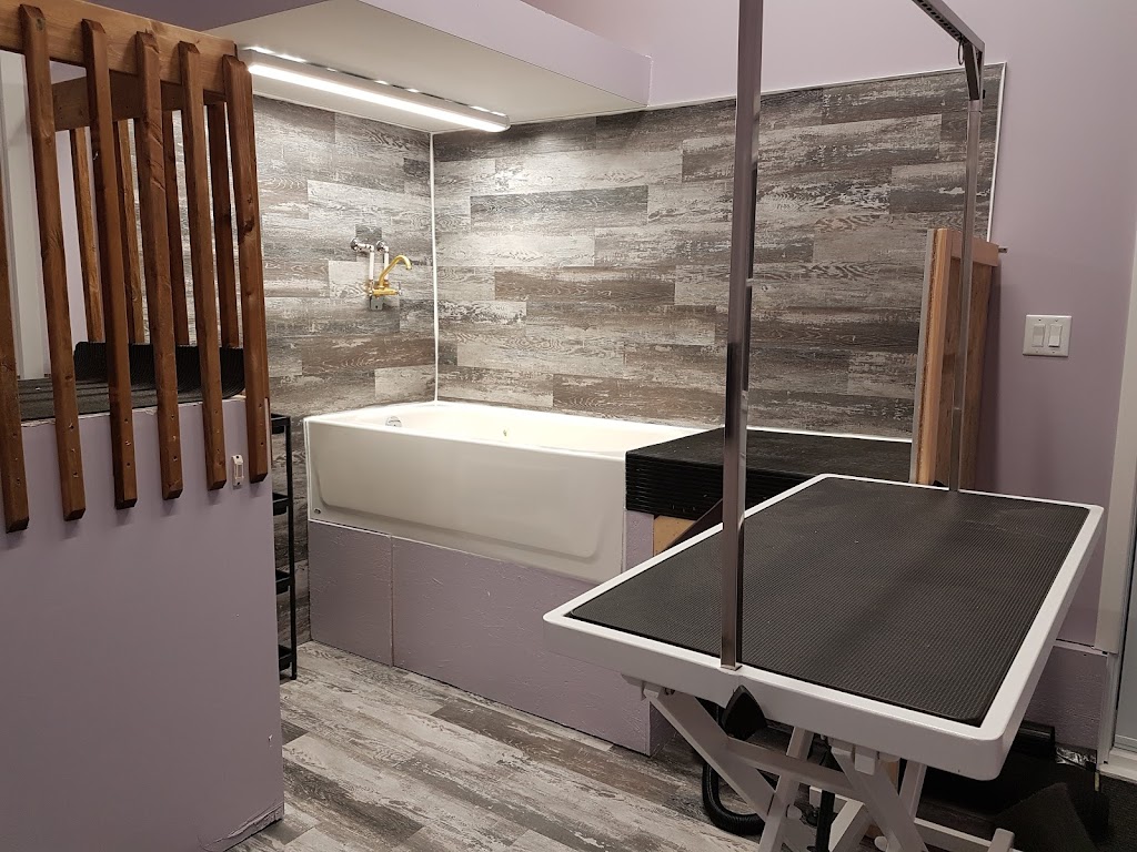 Ariella Toilettage | 225 Rue des Cerfs, Farnham, QC J2N 3C6, Canada | Phone: (514) 247-3811