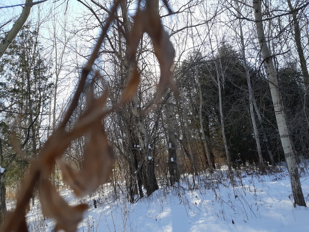 Slovenski Park | 4408 Sideroad 25 N, Cambridge, ON N3C 2V4, Canada | Phone: (226) 934-9347