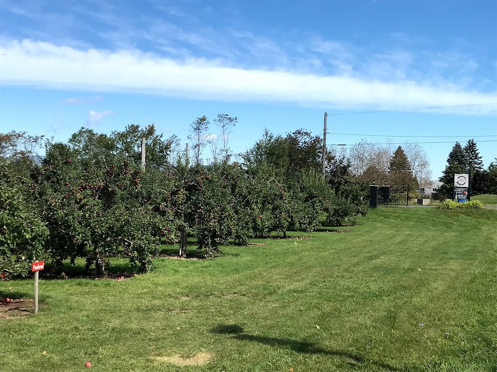 Domaine Orléans | 1067 Chem. Royal, Saint-Pierre, QC G0A 4E0, Canada | Phone: (418) 828-9071