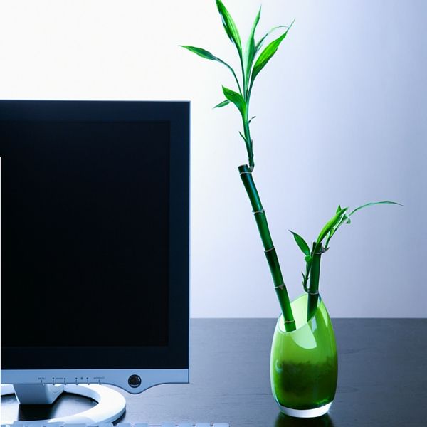 Green Genie SEO | 2953 Durham Regional Highway #2 East, Bowmanville, ON L1C 3K5, Canada | Phone: (905) 233-2488