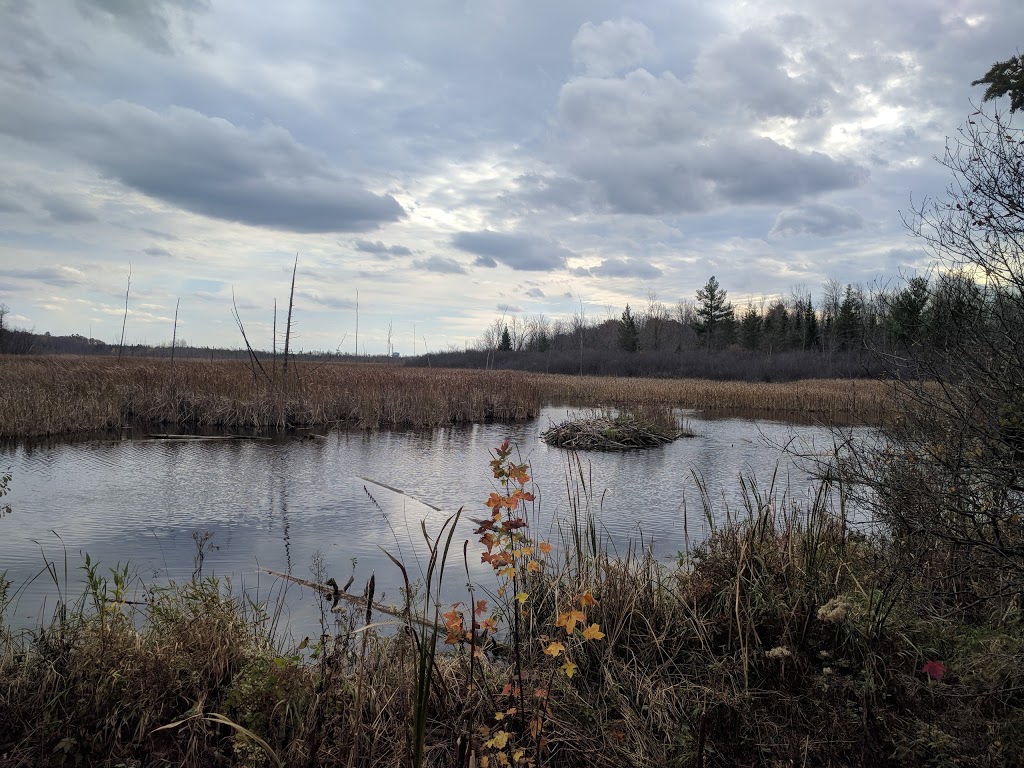 Beaver Trail | Moodie Dr, Nepean, ON K2R 1H8, Canada