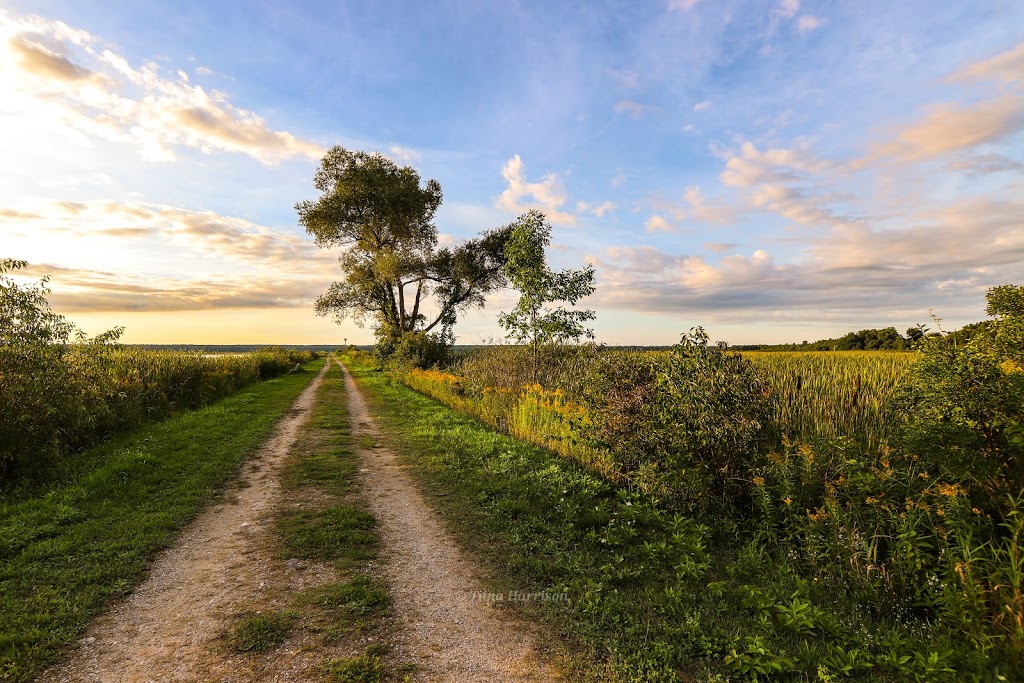 Tiny Marsh Provincial Wildlife Area | 500 Tiny Flos Townline, Elmvale, ON L0L 1P0, Canada | Phone: (705) 322-2200