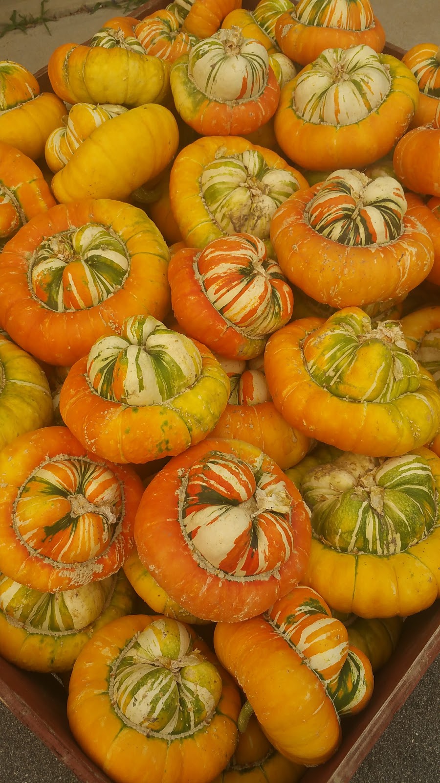 Grannys Fruit Stand, Bakery, Cafe | 13810 BC-97, Summerland, BC V0H 1Z1, Canada | Phone: (250) 494-7374
