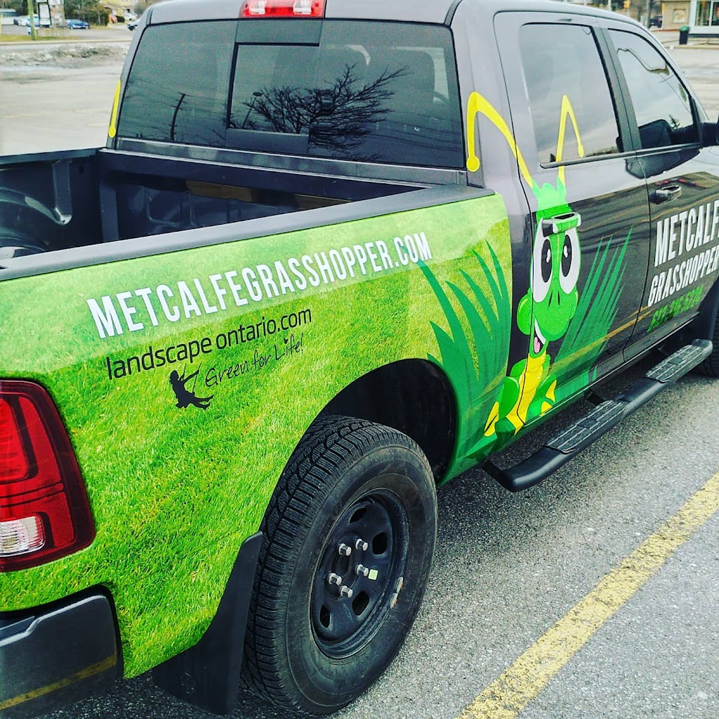 Metcalfe Grasshopper | 8191 Victoria St, Metcalfe, ON K0A 2P0, Canada | Phone: (613) 316-5224