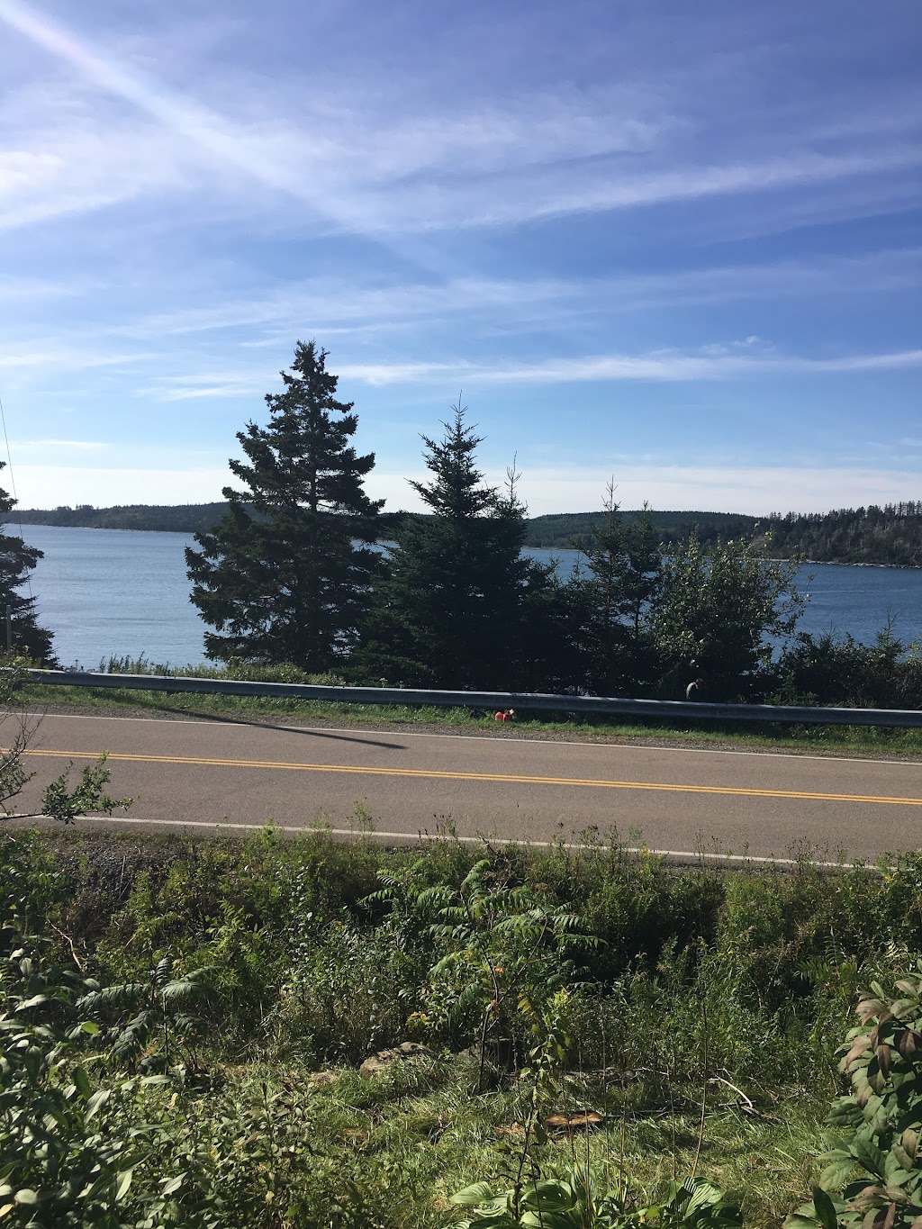 Sean Ashe Forestry | 1940 NS-211, Sherbrooke, NS B0J 3C0, Canada | Phone: (902) 318-0066