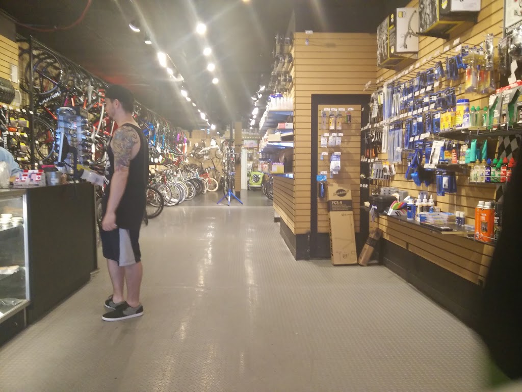 Velotique | 1592 Queen St E, Toronto, ON M4L 1G1, Canada | Phone: (416) 466-3171