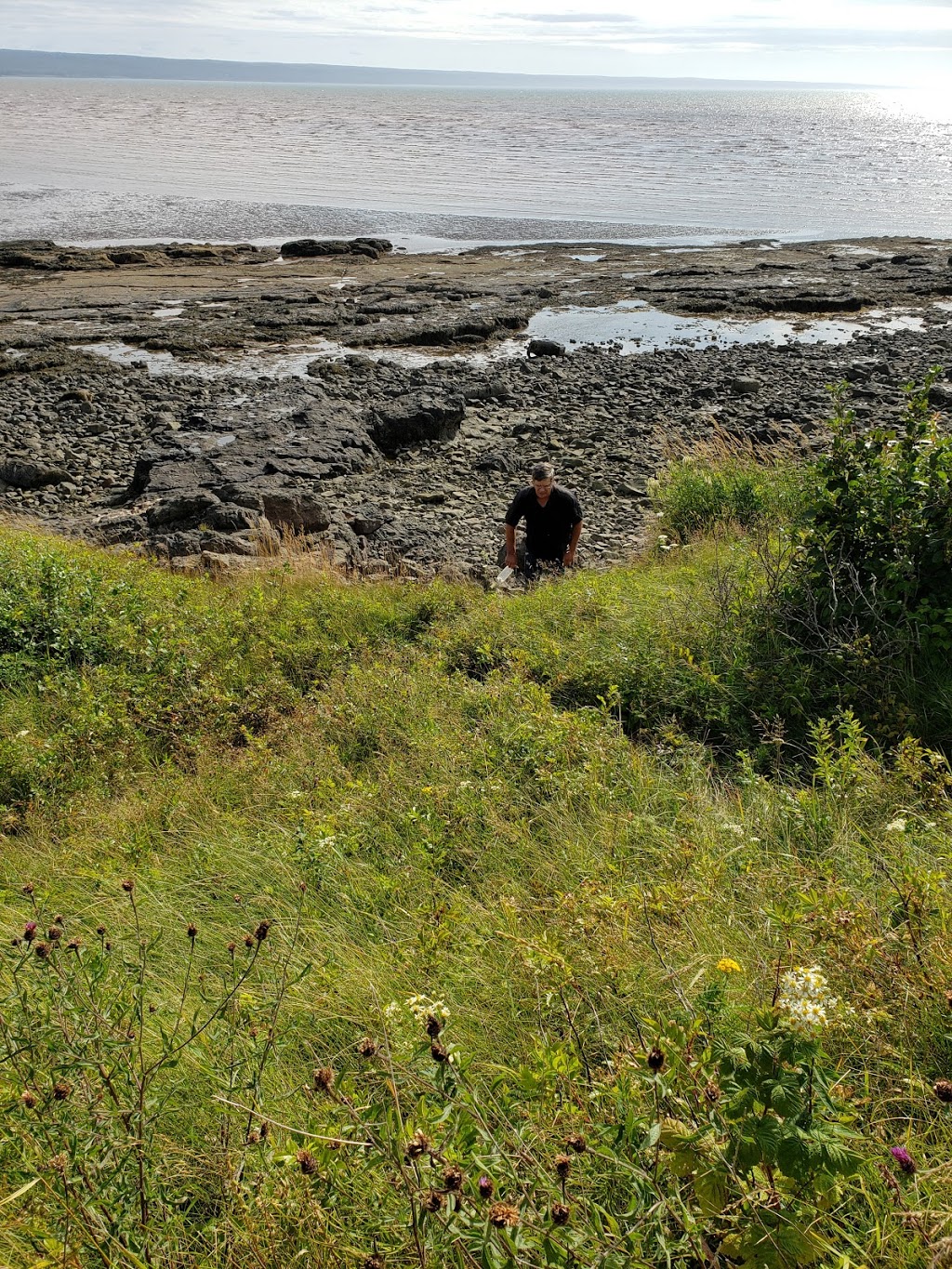 Moon Tide Farm | 1233 Cape Split Rd, Canning, NS B0P 1H0, Canada | Phone: (902) 582-1667