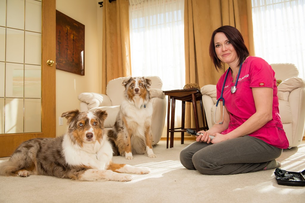 Vets To Go Private Surgery & Wellness Centre | 635 36 Ave NE, Calgary, AB T2E 2L8, Canada | Phone: (888) 995-8387