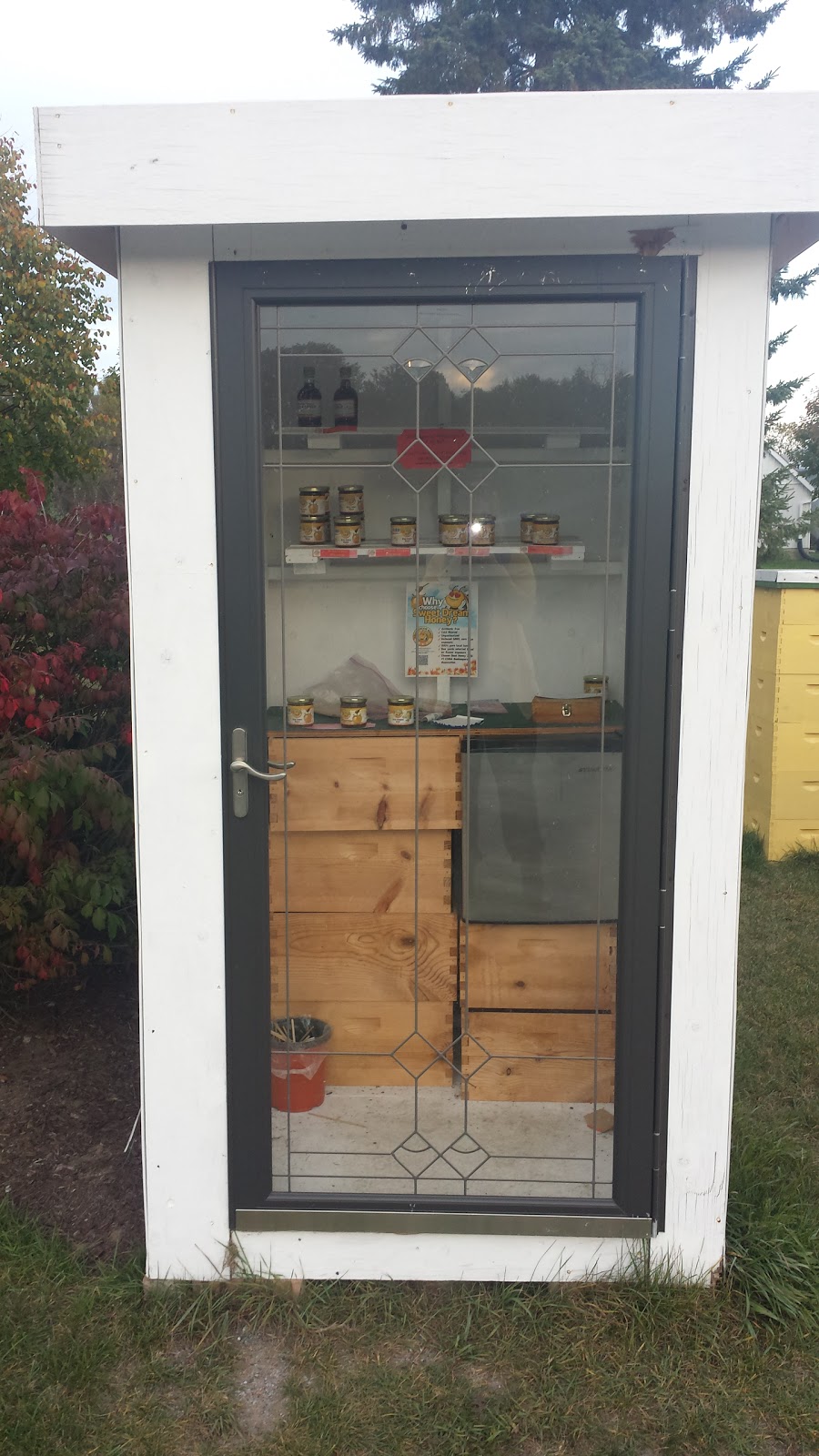 Dare 2 Dream Farm | 8169 Langstaff Rd, Kendal, ON L0A 1E0, Canada | Phone: (905) 216-5113