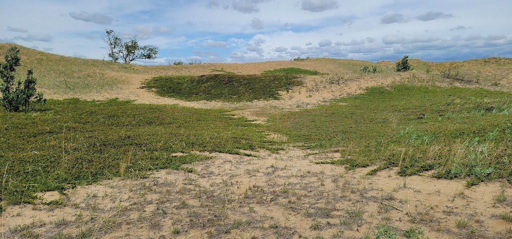 Douglas Provincial Park Campground | Unnamed Road, Elbow, SK S0H 1J0, Canada | Phone: (306) 854-6266