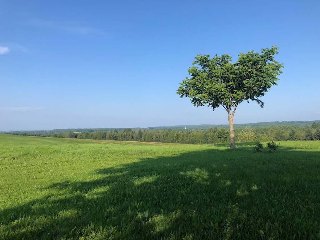Massothérapeute en Polarité Nathalie Hébert | 369 3e Rang, Saint-Félix-de-Kingsey, QC J0B 2T0, Canada | Phone: (514) 704-1658