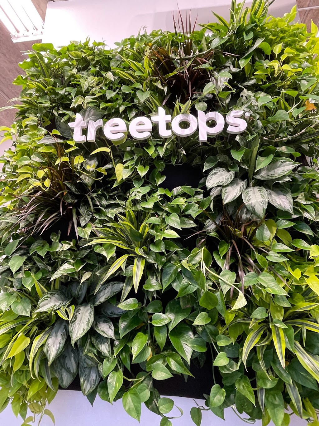 TreeTops Cannabis Co. | 1255 Kilally Rd, London, ON N5Y 6K9, Canada | Phone: (519) 453-6996