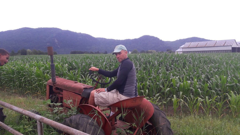Warkentin Organic Farm | 6934 Sandberg St, Abbotsford, BC V3G 1N7, Canada | Phone: (604) 826-7230