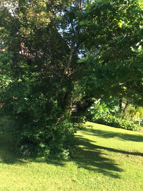 La maison Pamaljolie | 14000 Chem. de Fairfax, Stanstead-Est, QC J0B 3E0, Canada | Phone: (819) 571-0827