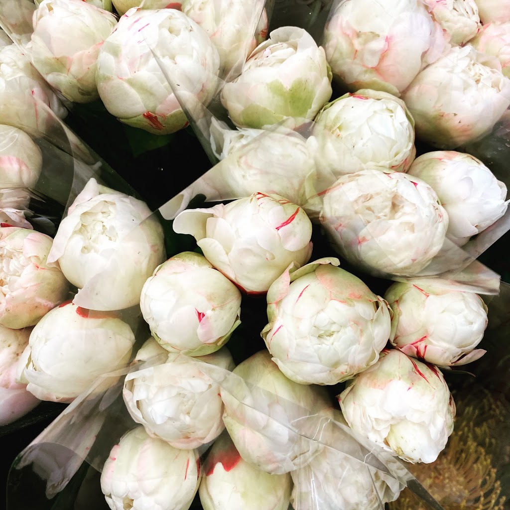 Kingston Road Flower Market | 966 Kingston Rd, Toronto, ON M4E 1S7, Canada | Phone: (416) 694-9131