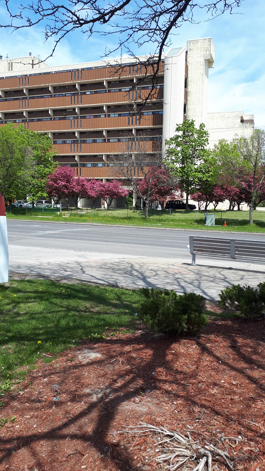 Brookview Middle School | 4505 Jane St, North York, ON M3N 2K7, Canada | Phone: (416) 395-2120