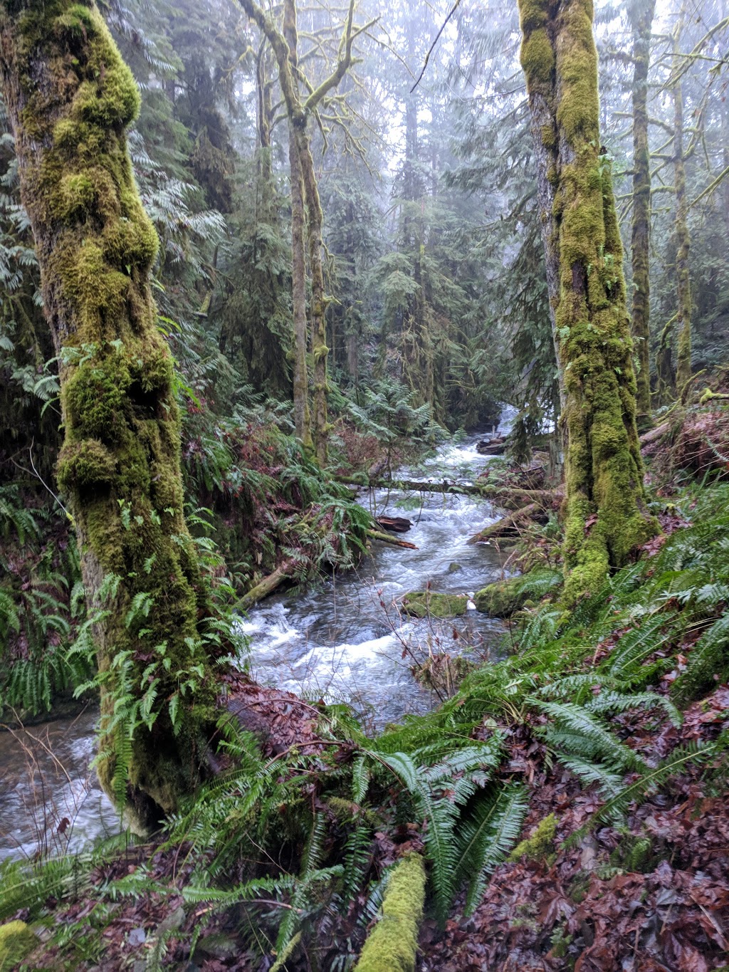 Stocking Creek Park | 2A7, Trans Canada Trail, Ladysmith, BC V9G 2A4, Canada