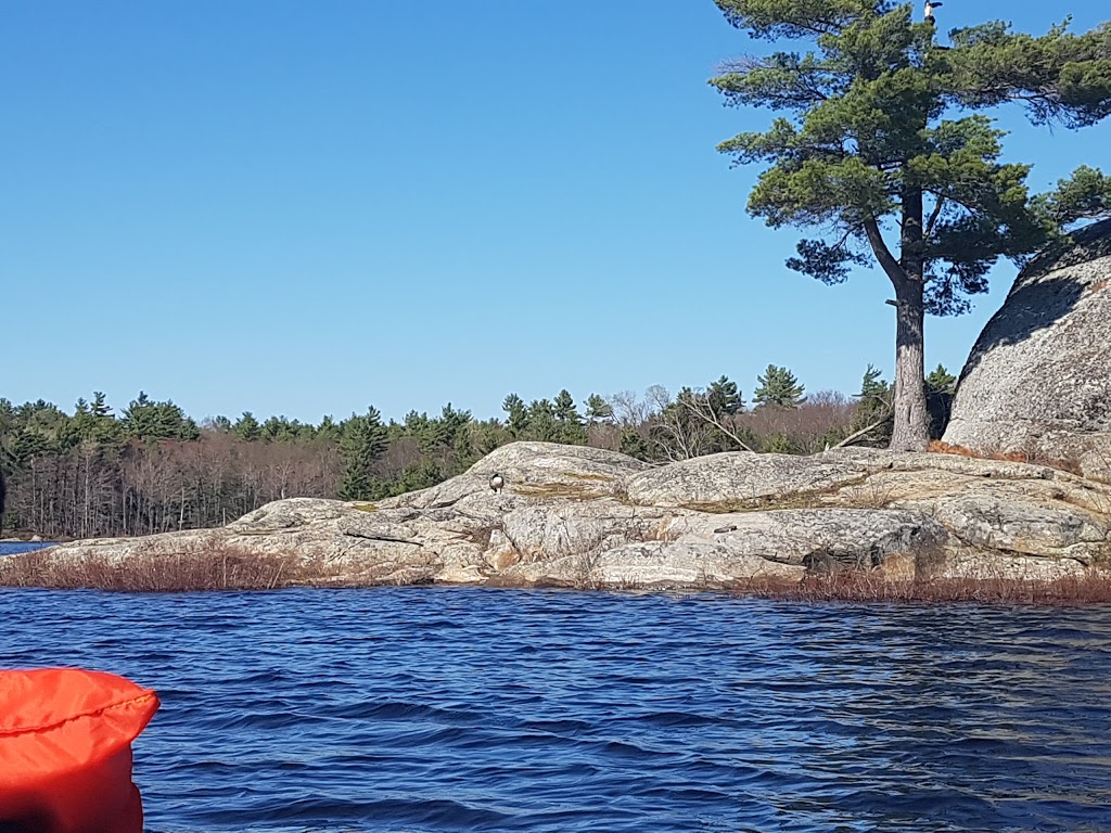 Elephant Rock | McCrae Lake, Georgian Bay, ON P0C, Canada