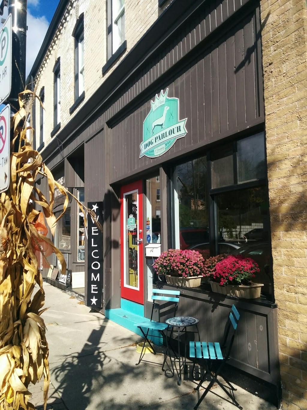 The Paris Dog Parlour | 119 Grand River St N, Paris, ON N3L 2M4, Canada | Phone: (519) 771-8421