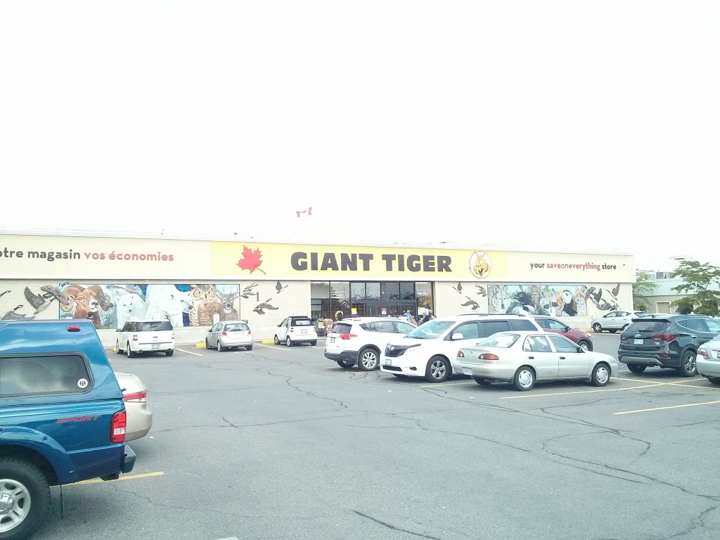 Giant Tiger | 2480 Walkley Rd, Ottawa, ON K1G 6A9, Canada | Phone: (613) 526-2416