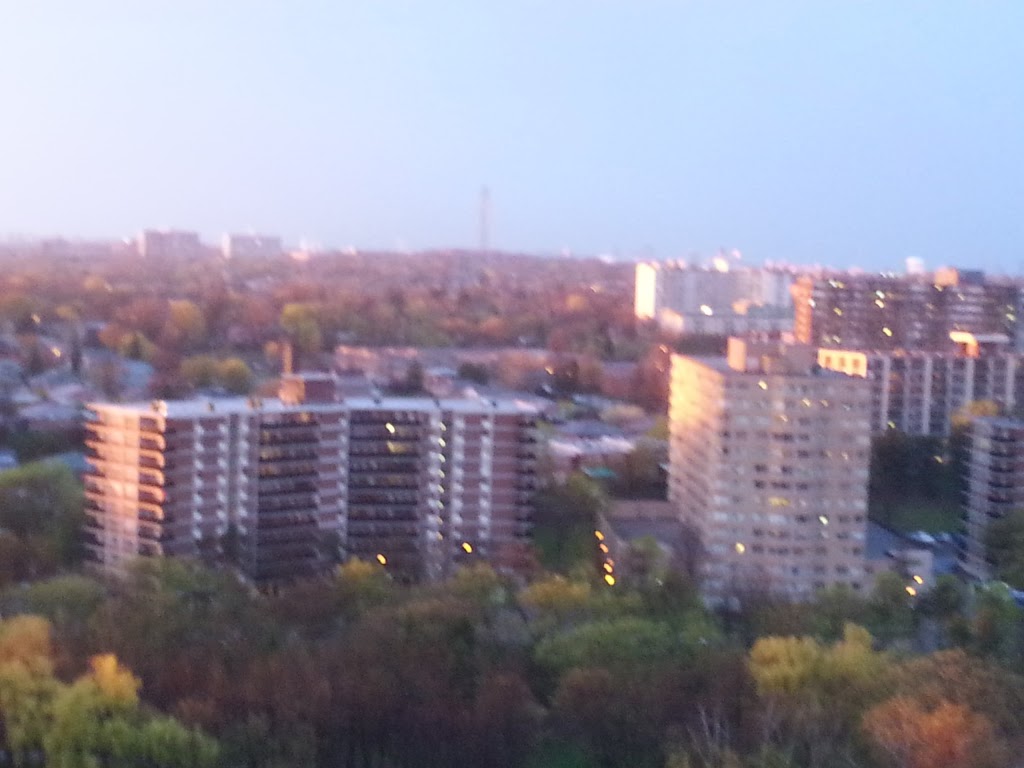 Eastdale Parkette | Eastdale Parkette, 110 Eastdale Ave, East York, ON M4C 5A1, Canada | Phone: (416) 392-2489