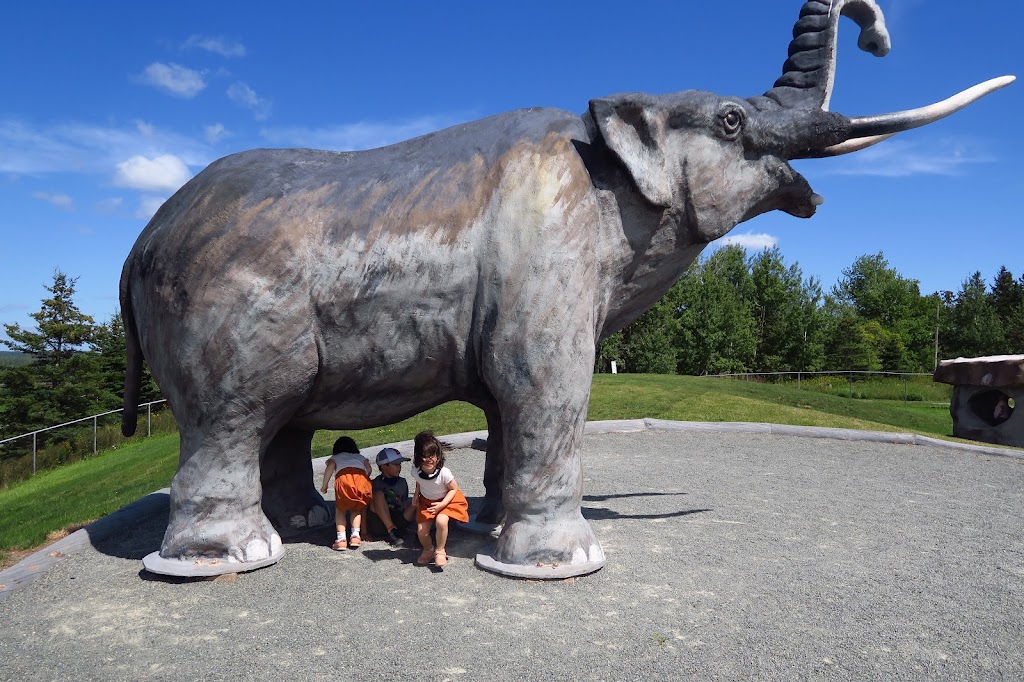Mastodon Mini Golf | Mastodon Ridge - Upper Deck, 87 Main St W, Stewiacke, NS B0N 2J0, Canada | Phone: (902) 639-2345