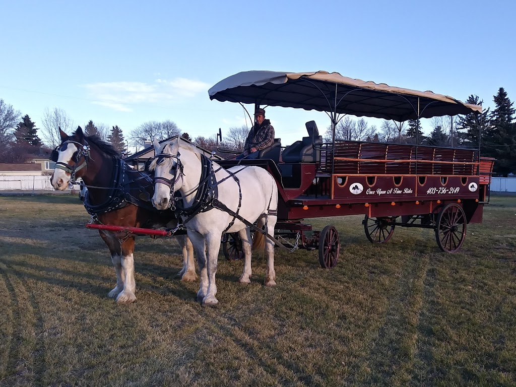 Once Upon A Time Rides | 192041, Township Rd 64, Stirling, AB T0K 2E0, Canada | Phone: (403) 756-2149