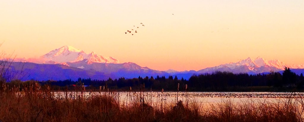 Wiser Lake Business Park | 7360 Guide Meridian Rd, Lynden, WA 98264, USA | Phone: (360) 389-3108
