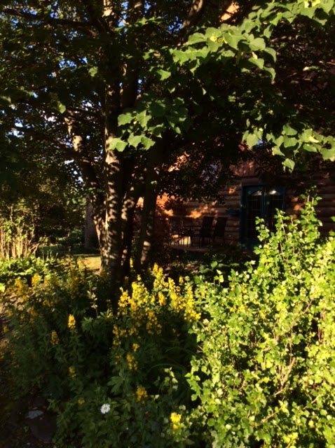 La maison Pamaljolie | 14000 Chem. de Fairfax, Stanstead-Est, QC J0B 3E0, Canada | Phone: (819) 571-0827